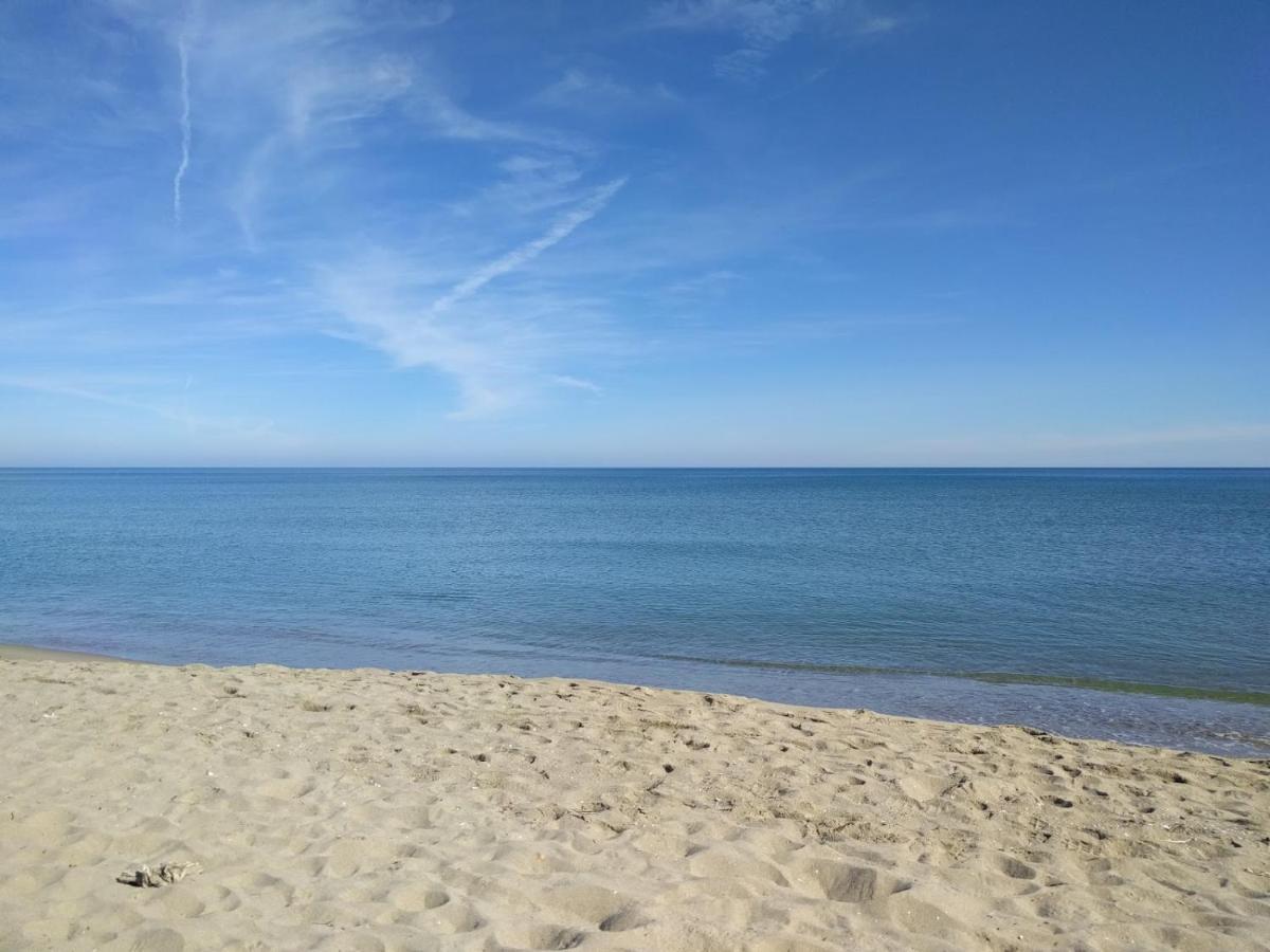 迈尔提勒Piso Centrico Y A Pie De Playa.公寓 外观 照片